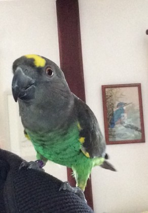 hetty and stitchwork