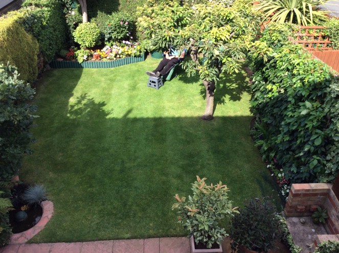 garden aug 31st 2018