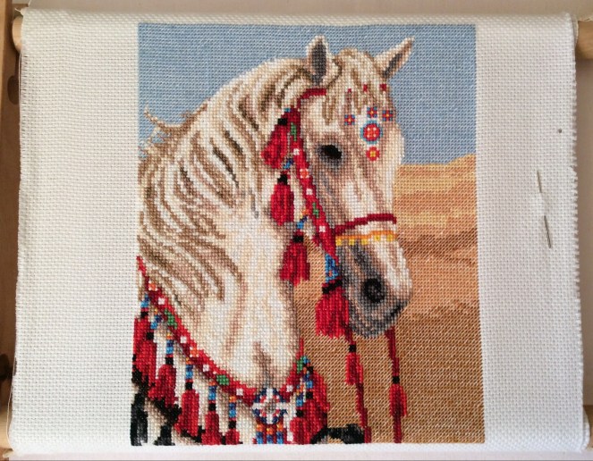 Arabian Horse before outlines