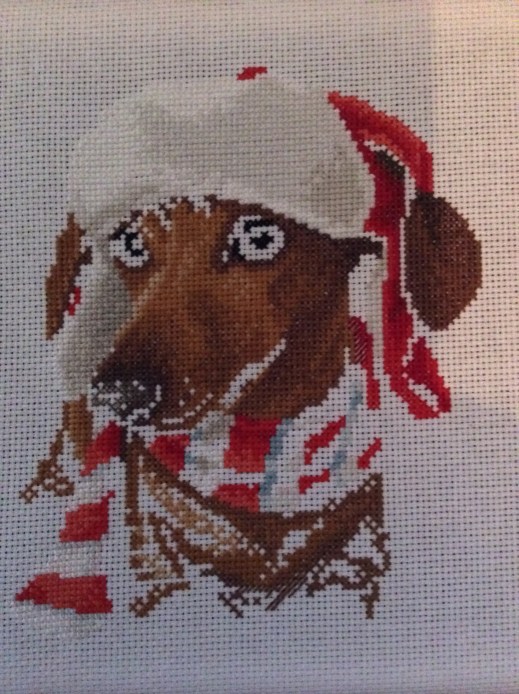 christmas dachshund 6