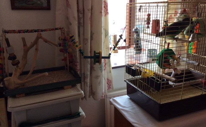 hetty's new play area set up