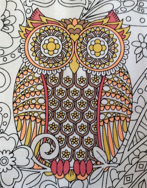owls orange
