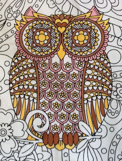 owls brown eyed