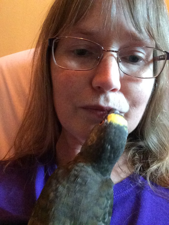 Sunday 2nd Nov 2019 1