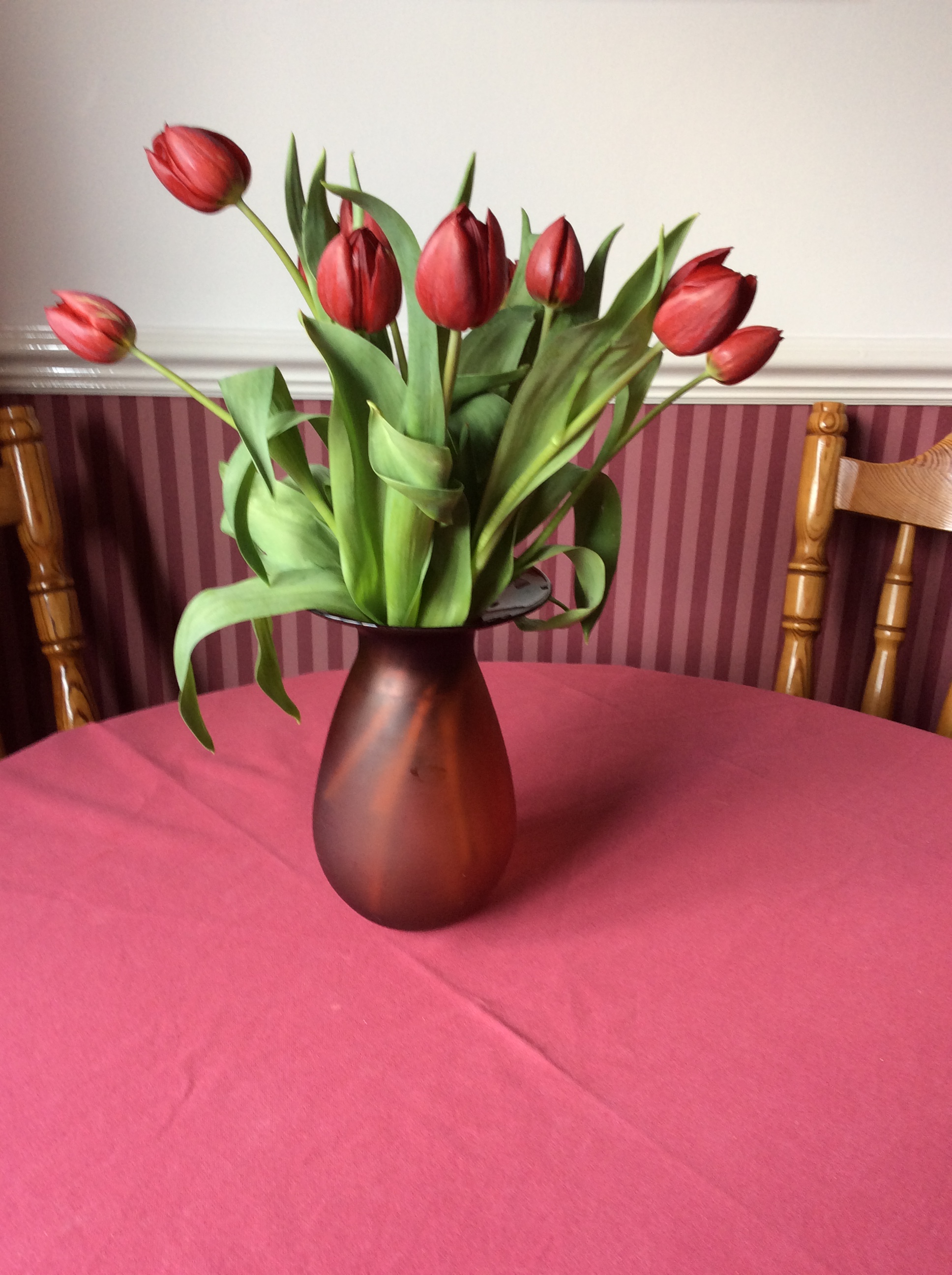 tulips